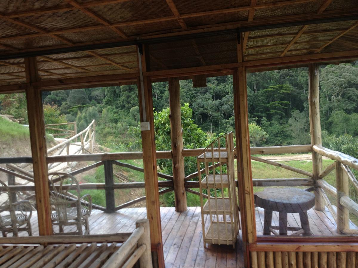 Rushaga Gorilla Lodge Bugambira Zimmer foto